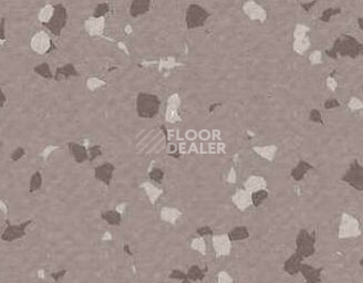 Линолеум Gerflor Taralay Premium Brazilia 4329 Bacabal фото 1 | FLOORDEALER